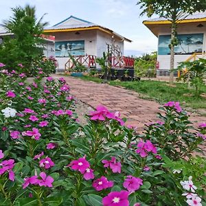 Shunde Palm Resort 仙本那顺德人家棕榈园